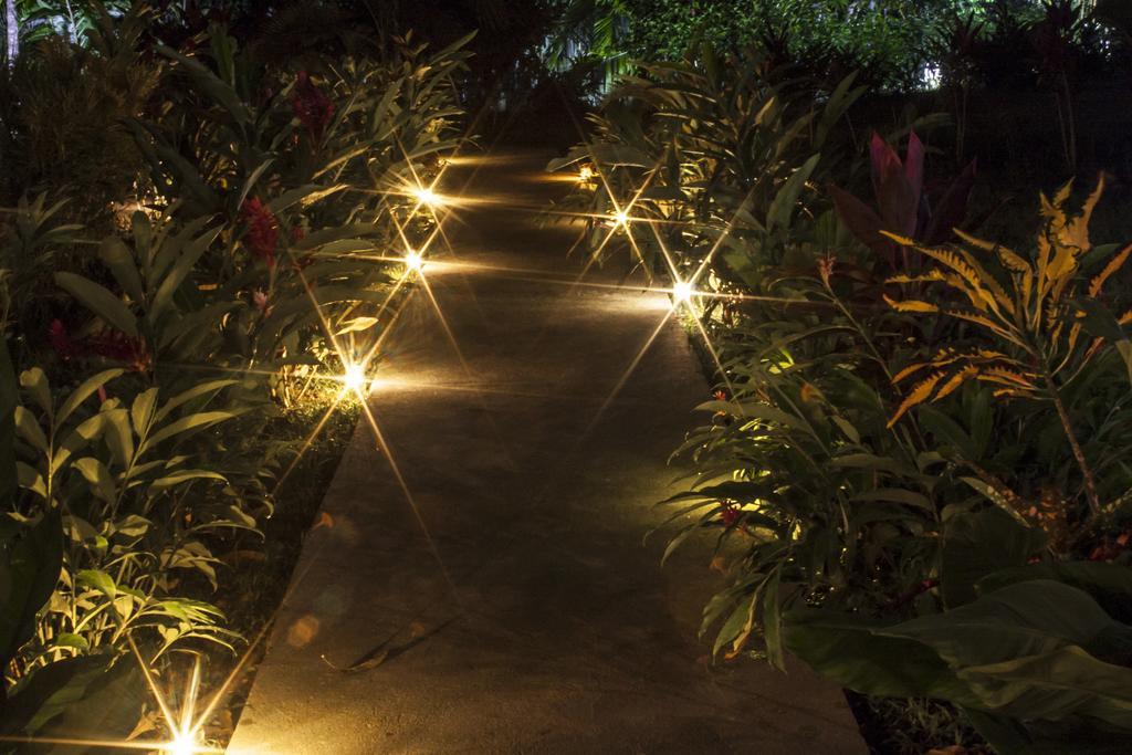 Manuel Antonio Hostel Resort ภายนอก รูปภาพ